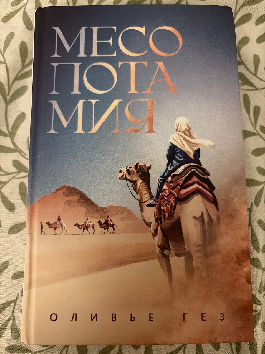 Обложка книги Месопотамия