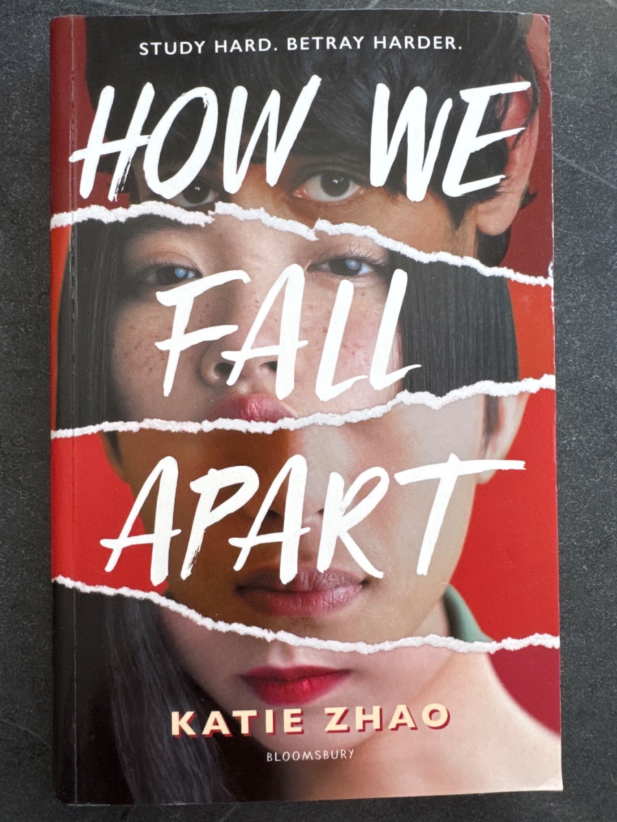 Обложка книги How We Fall Apart