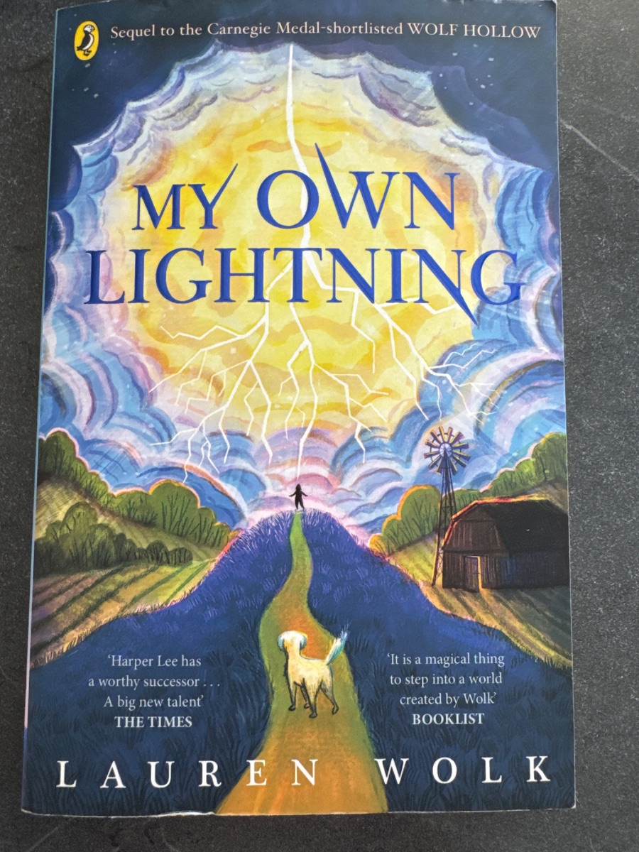 Обложка книги My Own Lightning. 