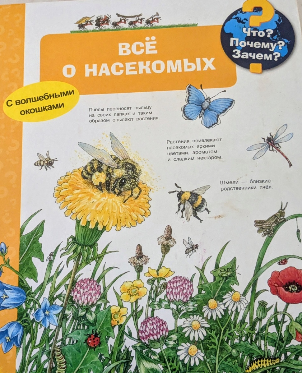 Обложка книги Всё о насекомых