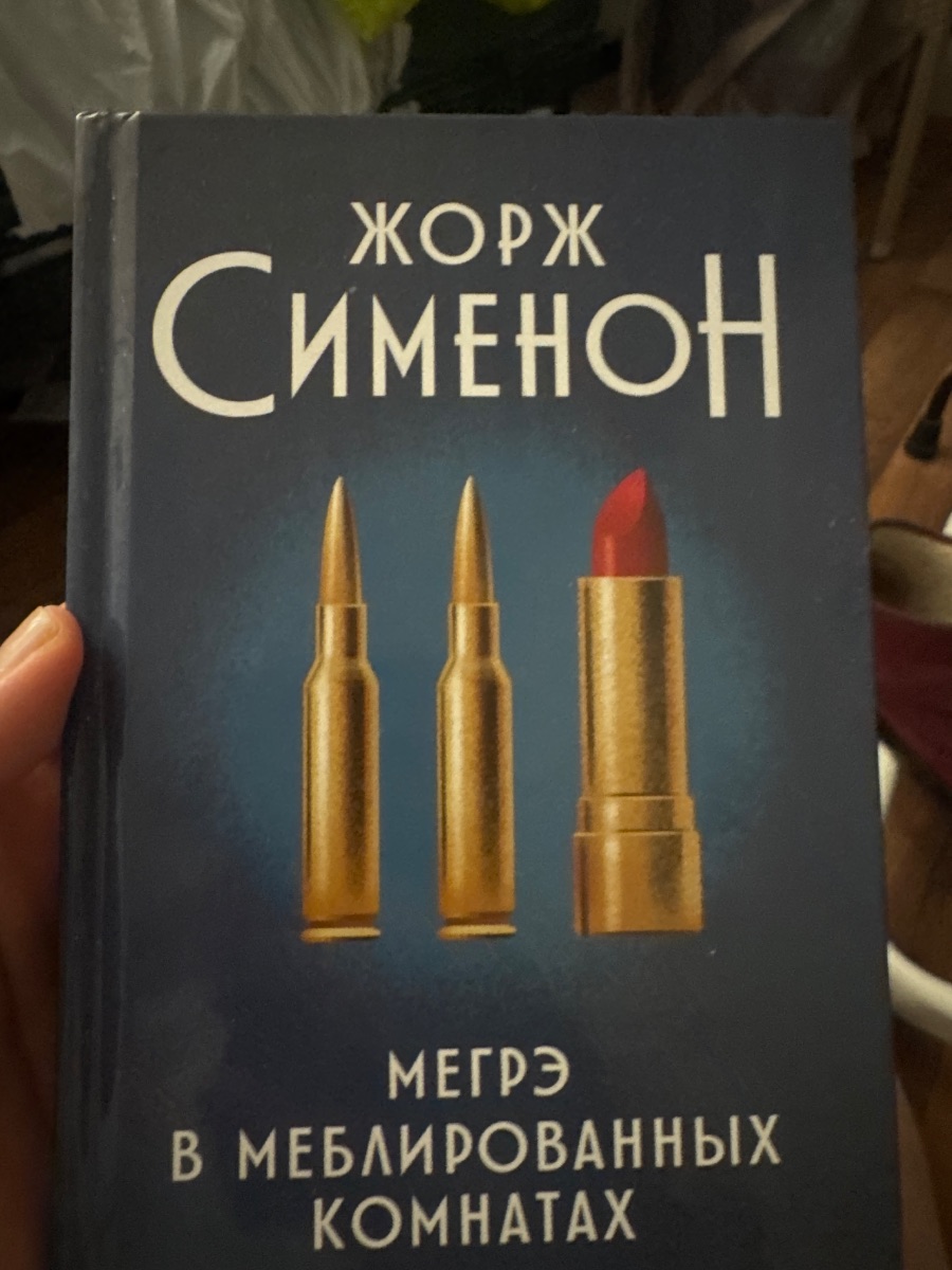 Обложка книги Мегрэ в мебели рованных комнатах