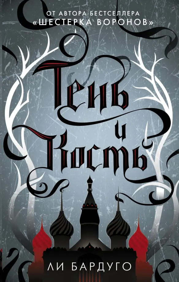 Обложка книги Тень и кость