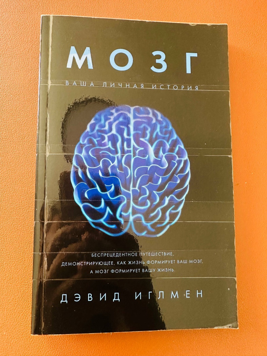 Обложка книги Мозг. Ваша личная история