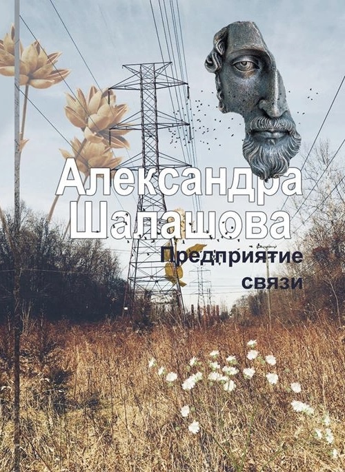 Обложка книги Предприятие связи