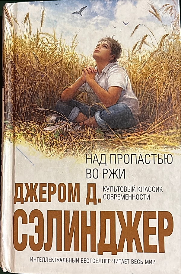 Обложка книги Над пропастью во ржи