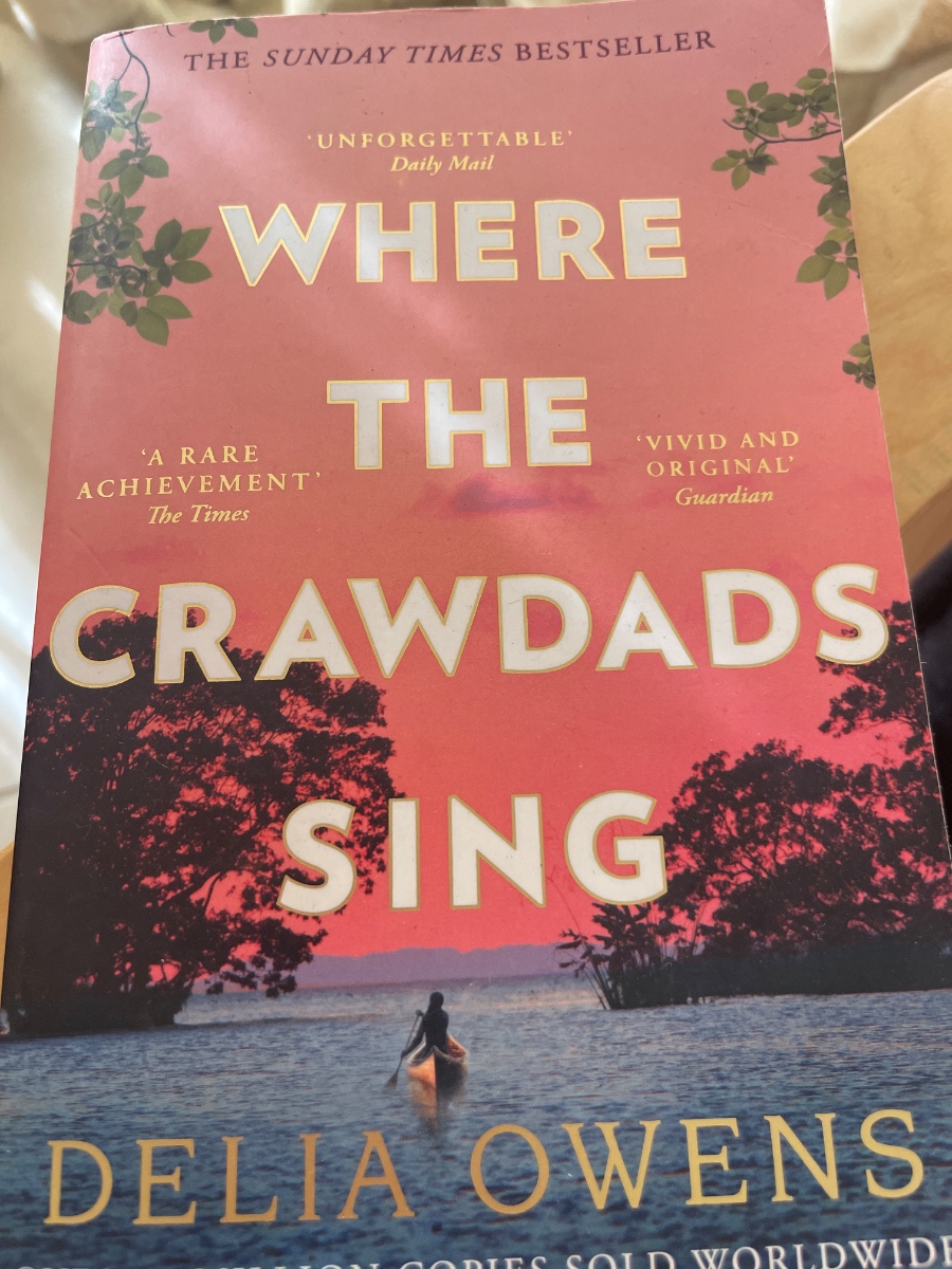 Обложка книги Where the crawdads sing 