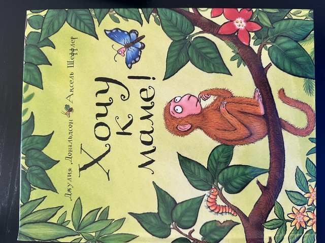 Обложка книги Хочу к маме